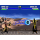 PlayStation Mortal Kombat: Legacy Kollection Deluxe Edition 5056635618122 / cenega - 1354916 - zdjęcie 3